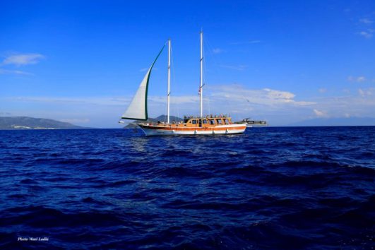 Bodrum Private Boat (Heaven)