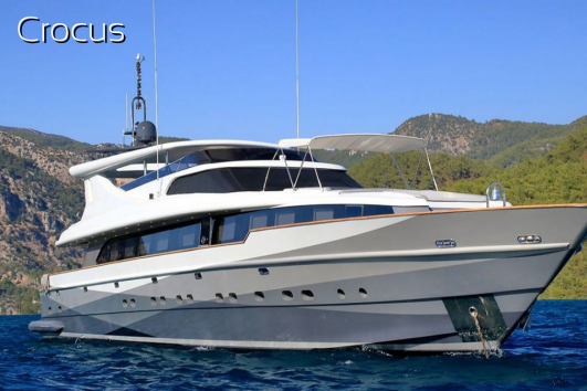 Bodrum Private Boat (Crocus)