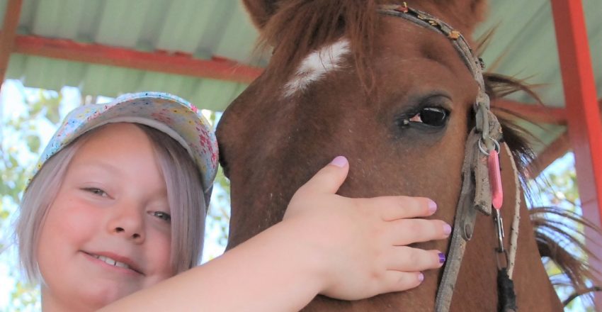 Fethiye horse riding